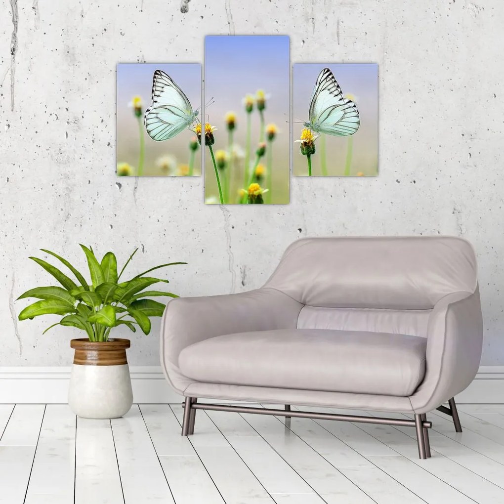 Tablou cu fluture pe floare (90x60 cm)