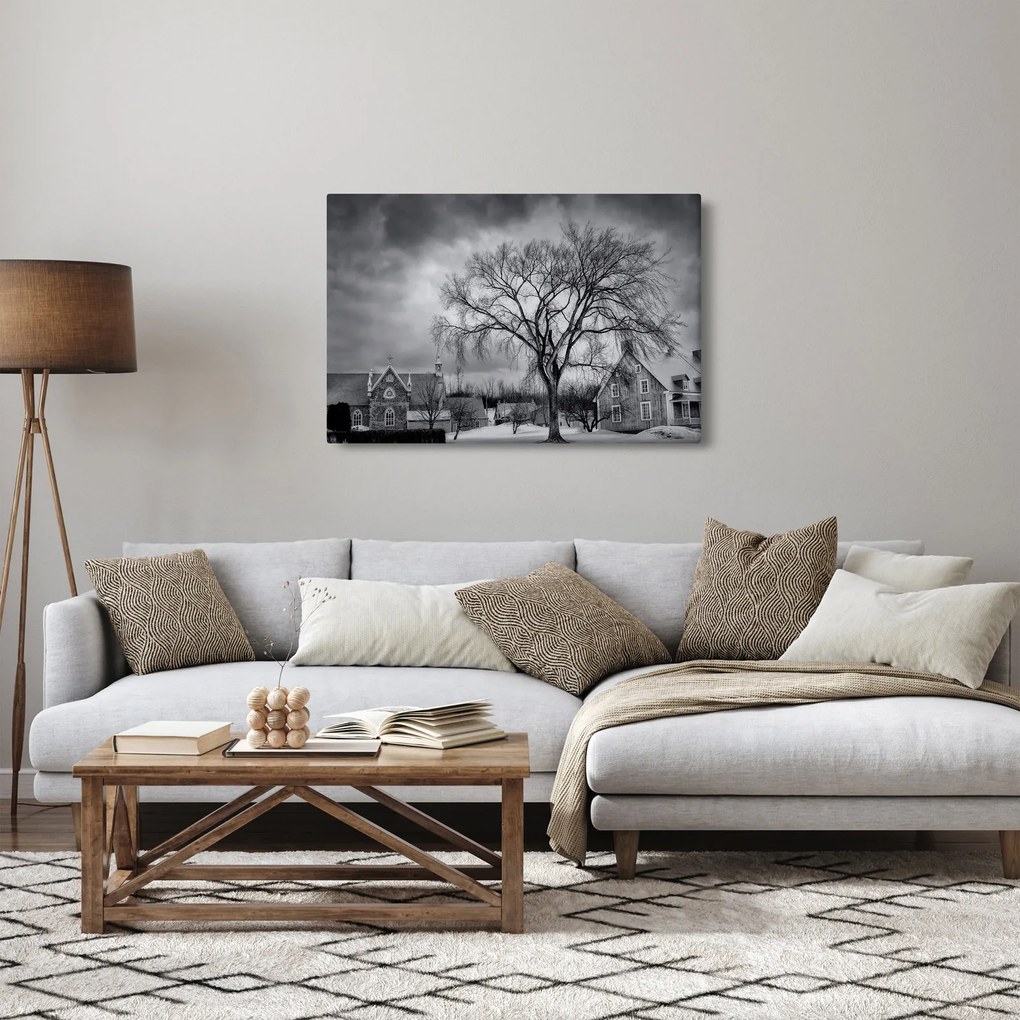 Tablou cu sat alb negru (90x60 cm)