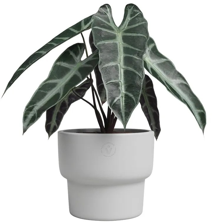 Ghiveci din ceramică făcut manual ø 17 cm Echo – Artevasi