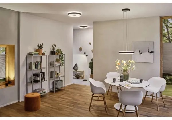 Lampadar dimabil Paulmann 79775 2xLED/3W PURIK PANE 230V