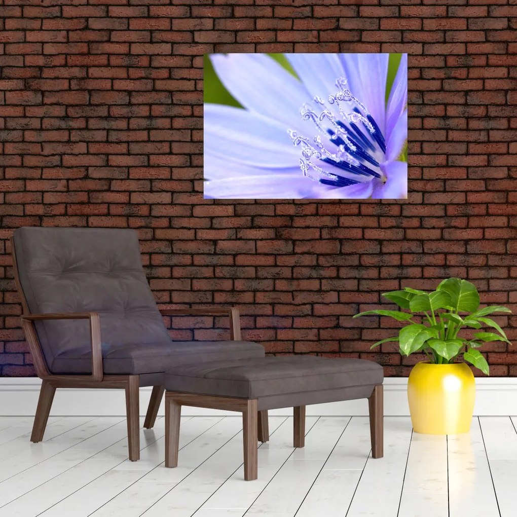 Tablou - Floare (70x50 cm)