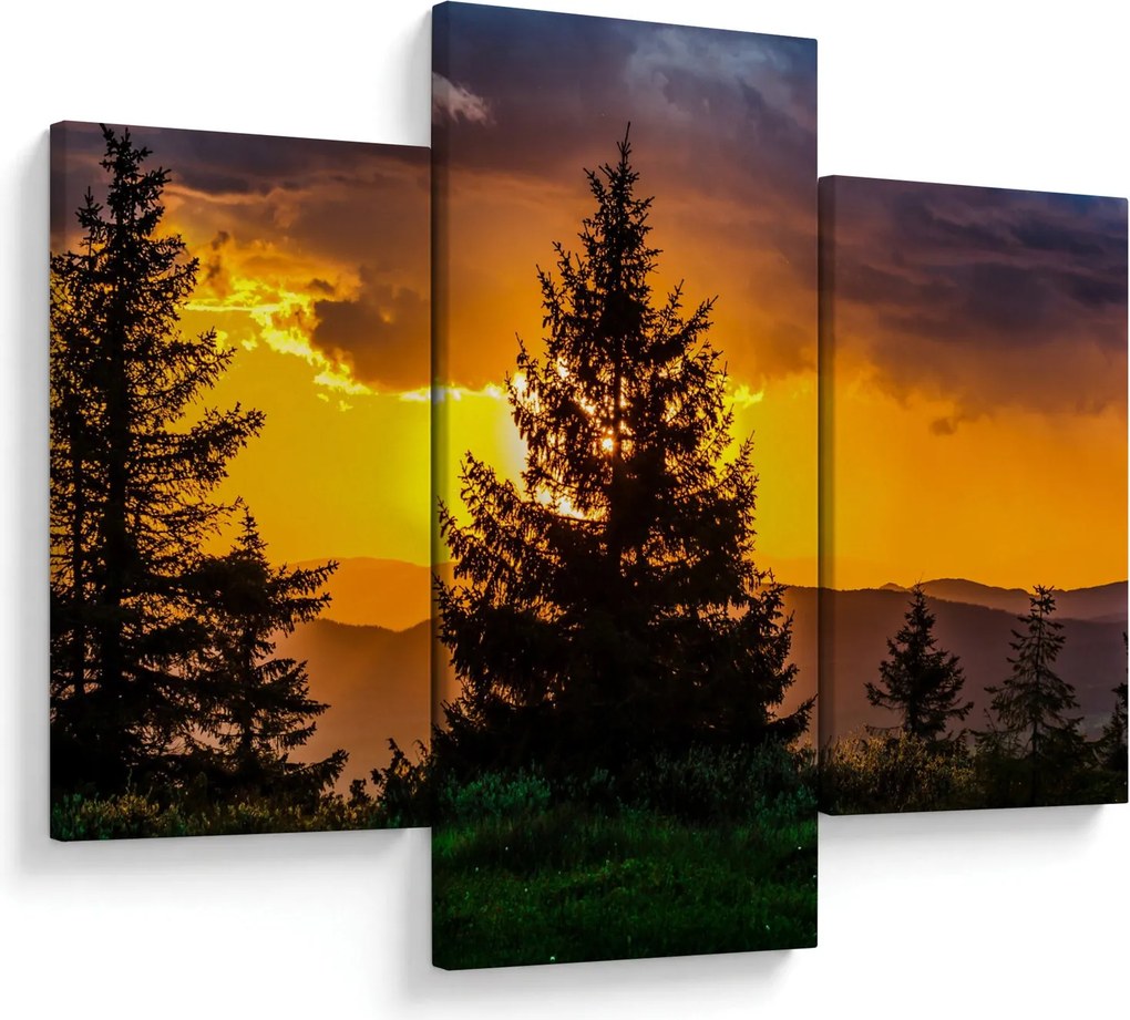 Tablou - coniferi (90x60 cm)