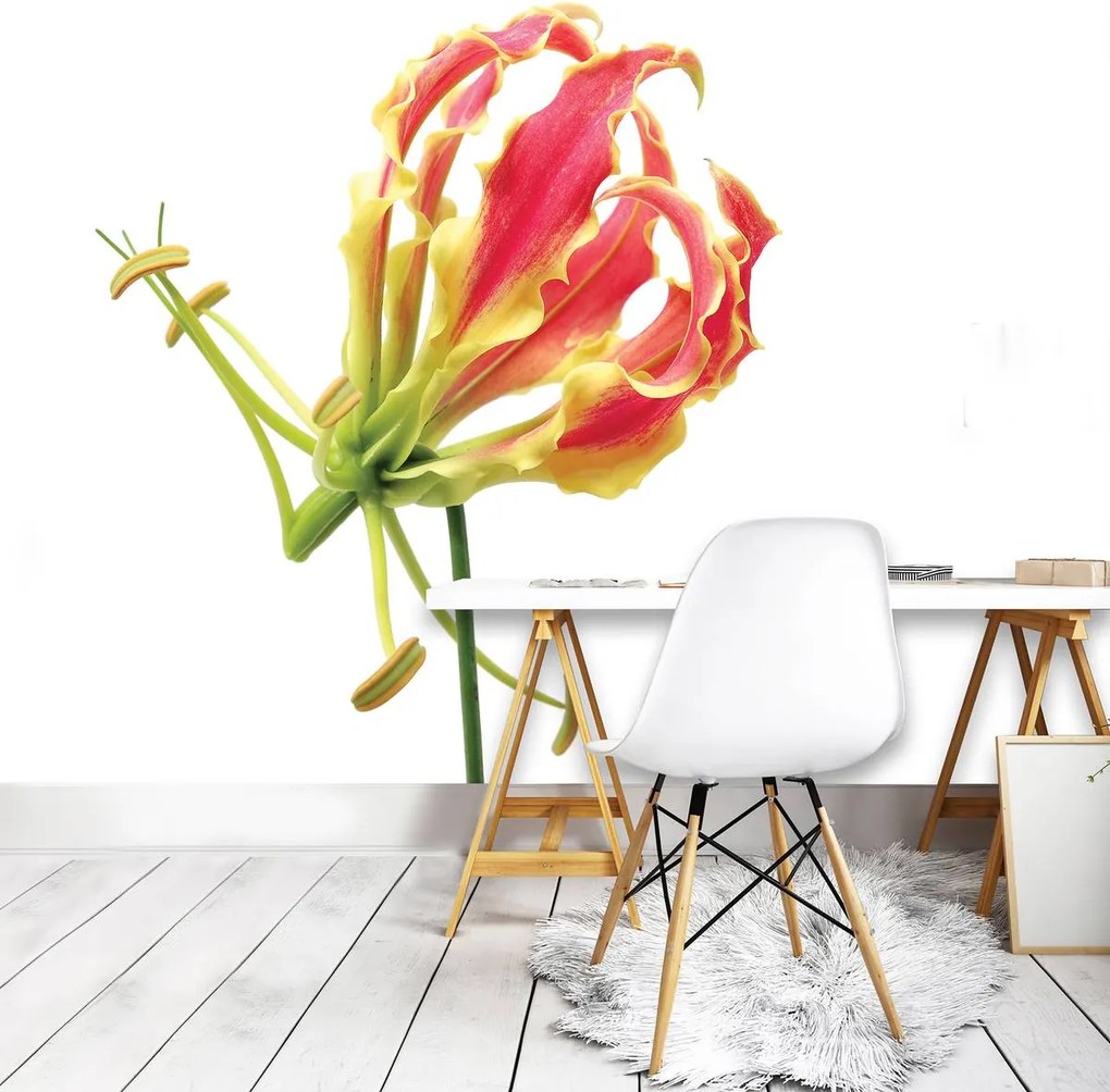 Fototapet - Flori (152,5x104 cm)