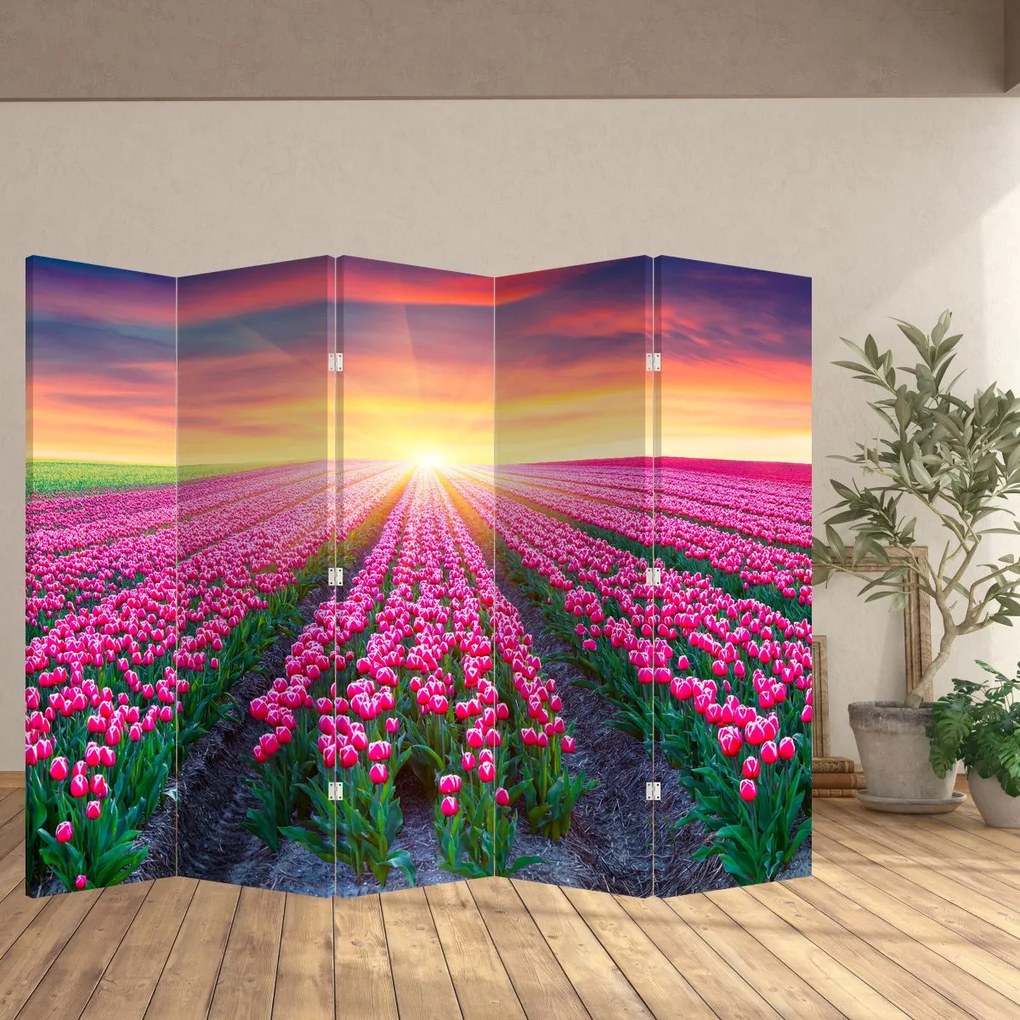 Paravan - Câmp de lalele cu soare (210x170 cm)