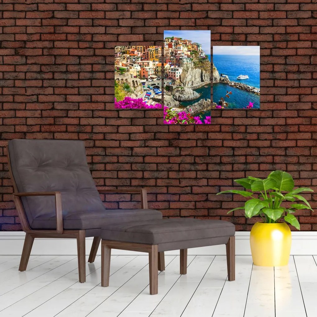 Tablou - Satul italian Manarola (90x60 cm)