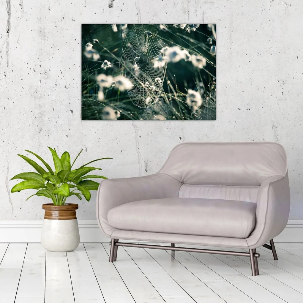 Tablou - Pânză de păianjen (70x50 cm)