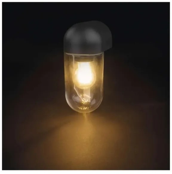 Aplică de exterior CASSIA 1xE27/15W/230V IP44