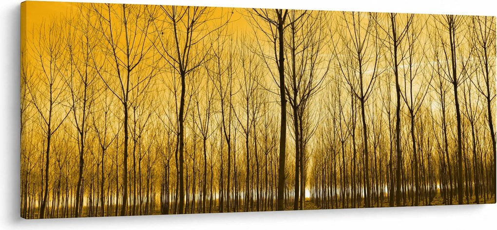 Tablou - Palntație cu pomi (120x50 cm)