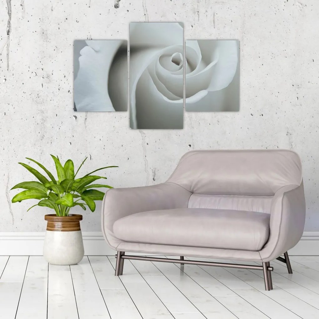 Tablou - Trandafirul alb (90x60 cm)