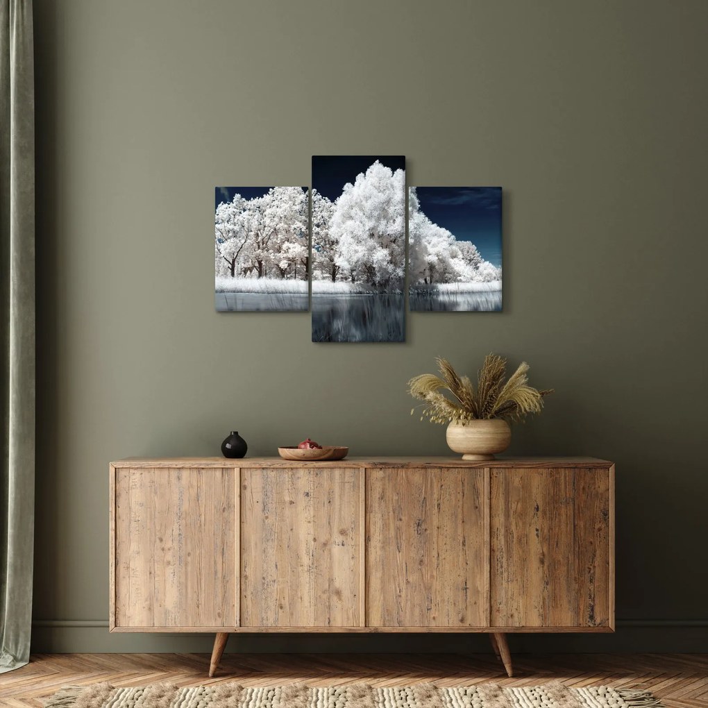 Tablou - Albă ca Zăpada Albă ca Zăpada Copaci (90x60 cm)