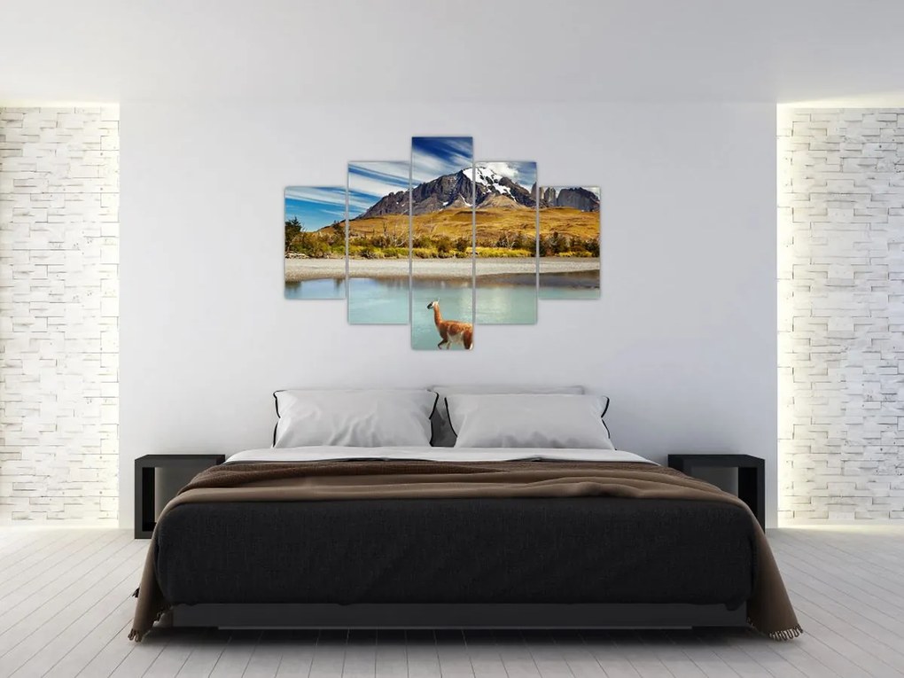 Tablou - Parcul Național Torres del Paine (150x105 cm)