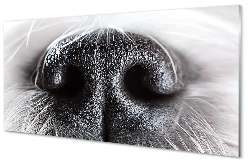 Tablouri acrilice nasul câinelui