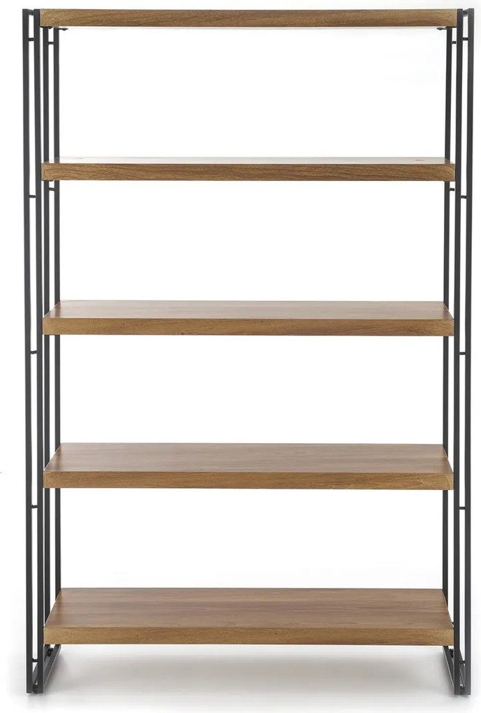 Etajera BOLIVAR REG2, stejar auriu/negru, 100x30x155 cm