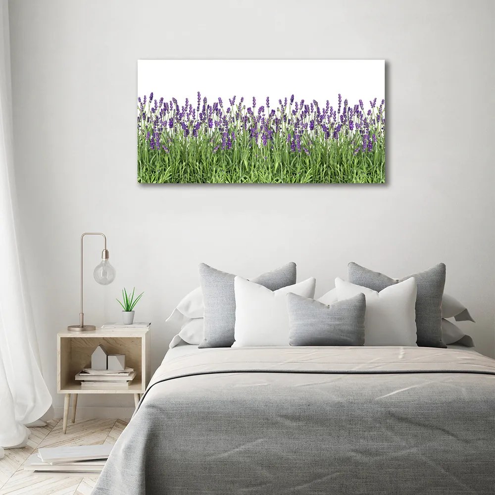 Tablou pe pânză canvas Flori de lavandă