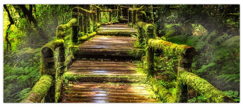 Tablou cu scări într-o pădure tropicală (120x50 cm)