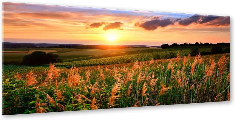 Styler Tablou pe sticlă - Sunset Meadow 120x80 cm