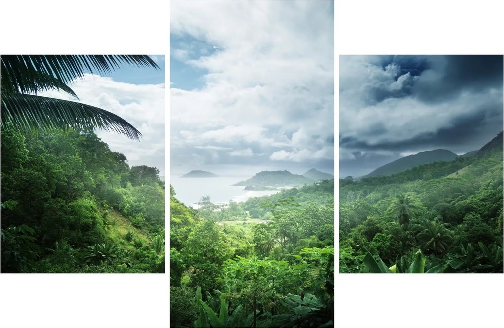 Tablou -Jungla din Seychelles (90x60 cm)