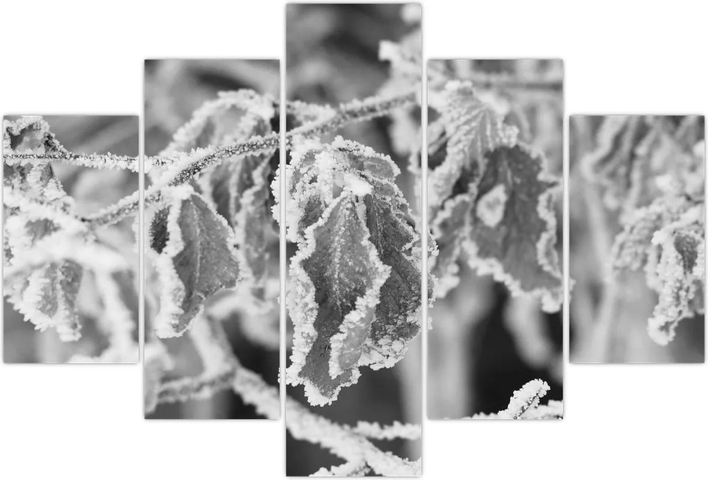 Tablou - Frunze înghețate,alb-negru (150x105 cm)