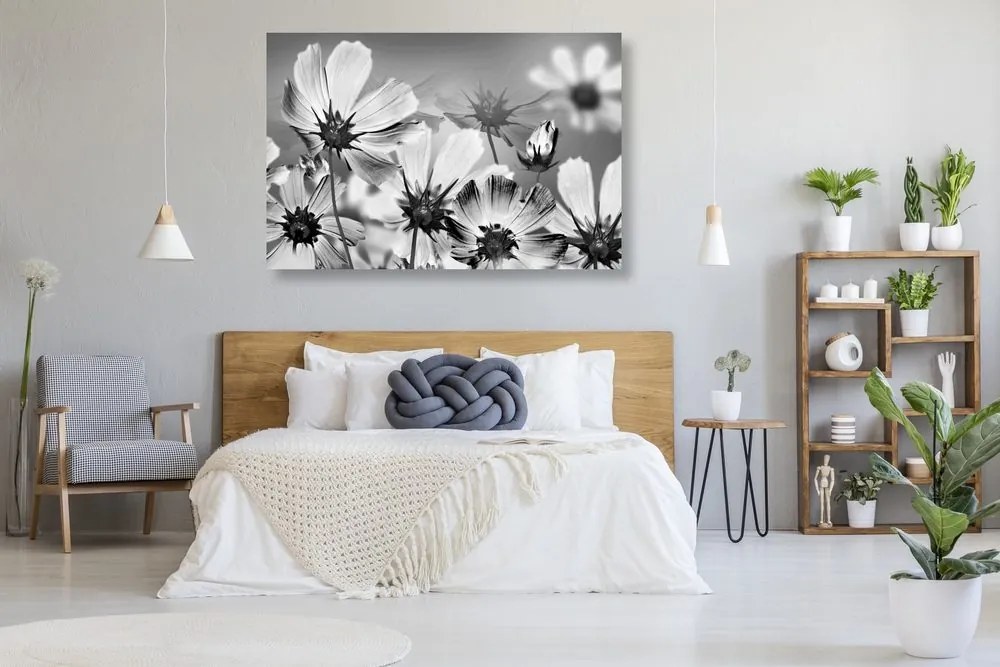 Tablou flori de vară în design alb-negru