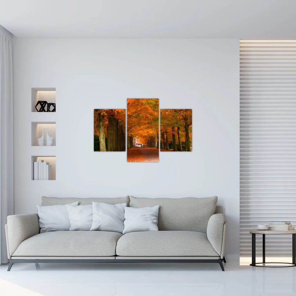 Tablou - Bulevardul de copaci în toamnă (90x60 cm)