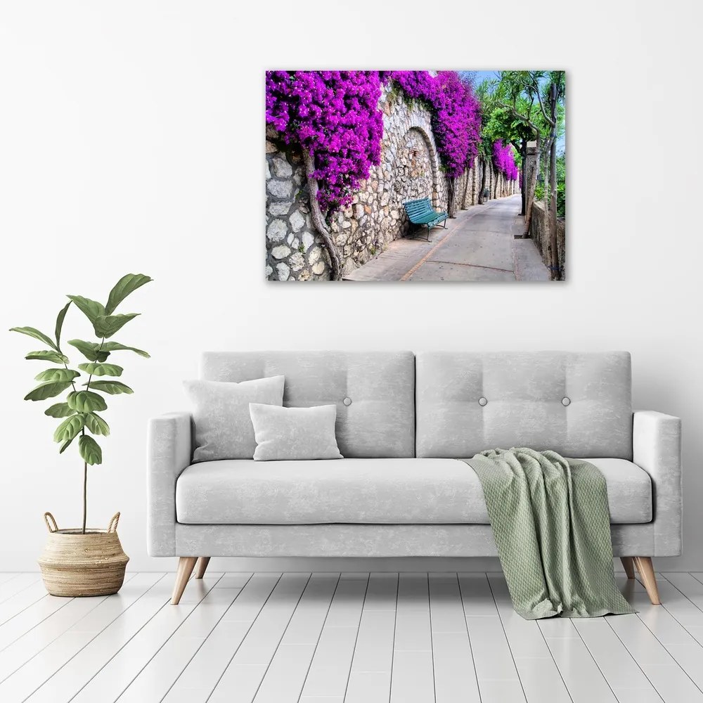 Print pe canvas Străzi fermecătoare