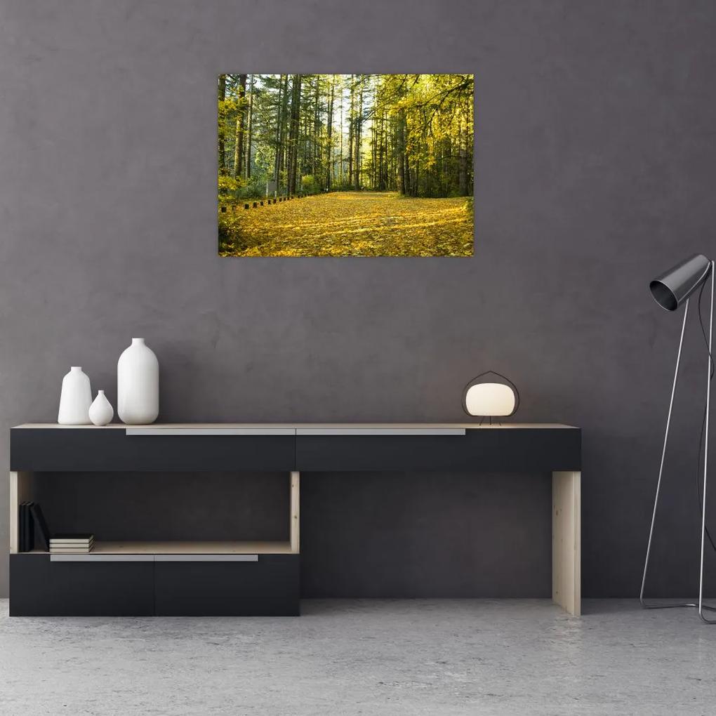 Tablou - pădurea toamna (70x50 cm), în 40 de alte dimensiuni noi