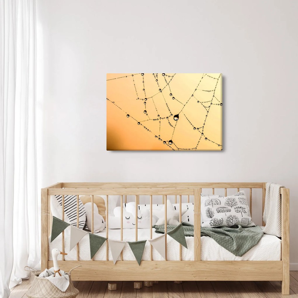Tablou cu pânză de pâianjen cu rouă (90x60 cm)