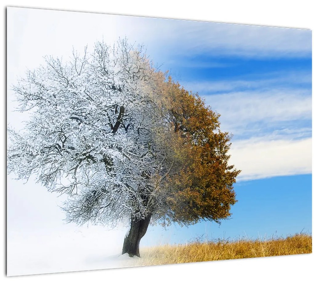 Tablou - Schimbarea anotimpurilor (70x50 cm)