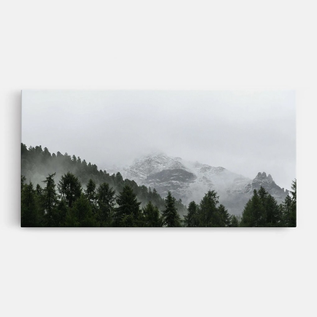 Tablou Canvas, 100x200cm, Dormitor si Living, Peisaje, Paduri, Foggy Mountain Forest