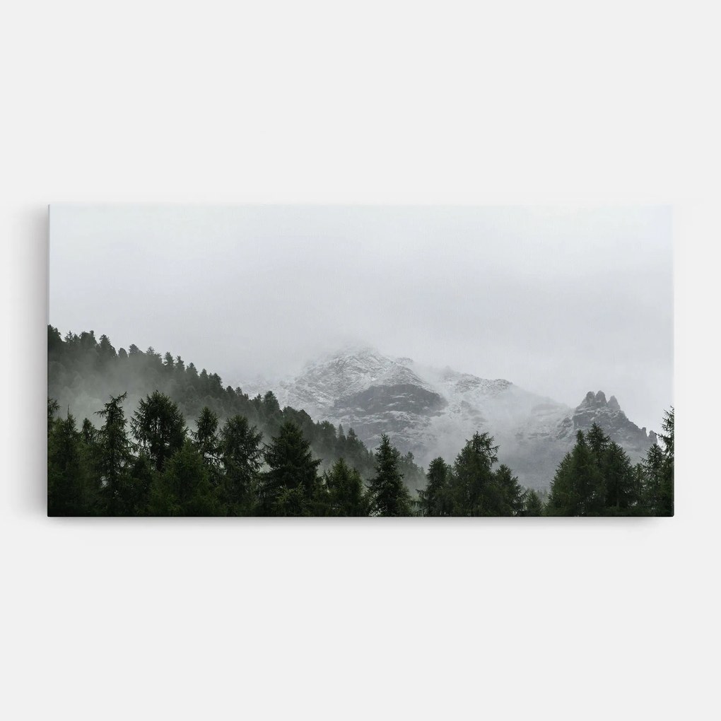 Tablou Canvas, 50x100cm, Dormitor si Living, Peisaje, Paduri, Foggy Mountain Forest