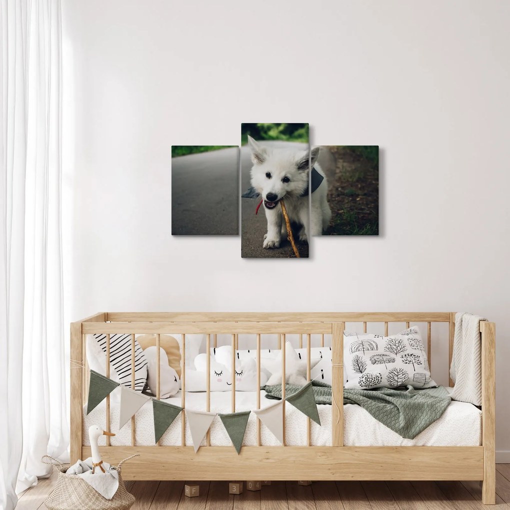 Tablou cu câinele alb (90x60 cm)
