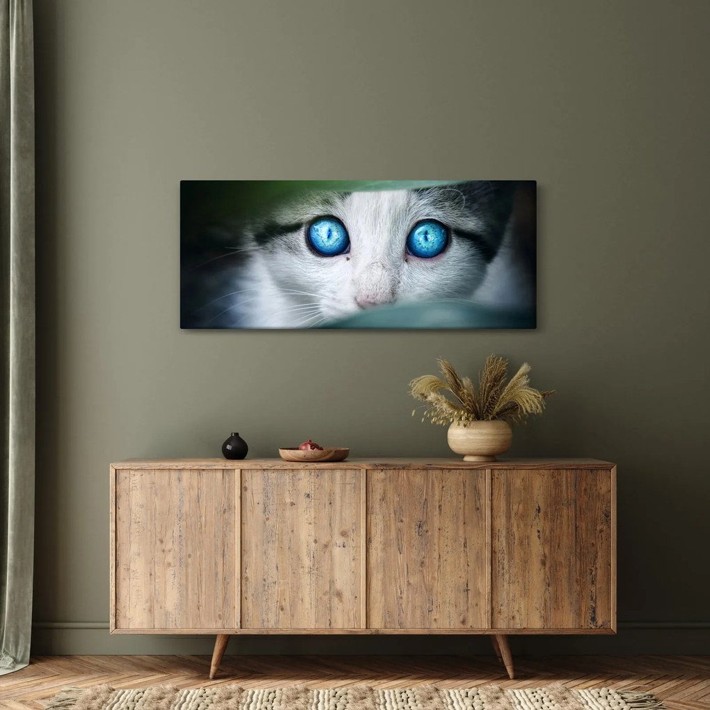 Tablou cu pisica (120x50 cm)