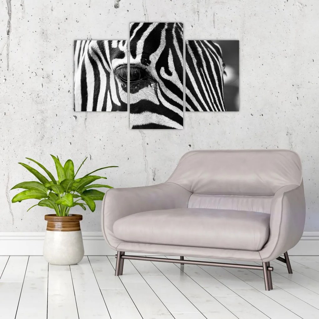 Tablou cu zebră (90x60 cm)