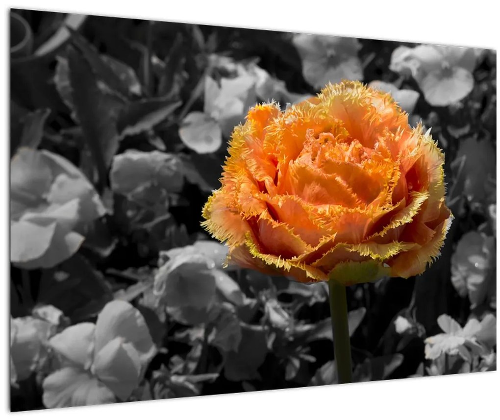 Tablou cu floare (90x60 cm)