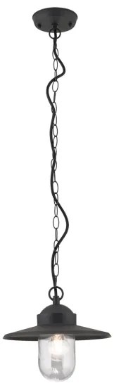 Orion AL 11-1318 - Corp de iluminat suspendat pentru exterior EDWARD, 1xE27/60W/230V, IP44, antracit