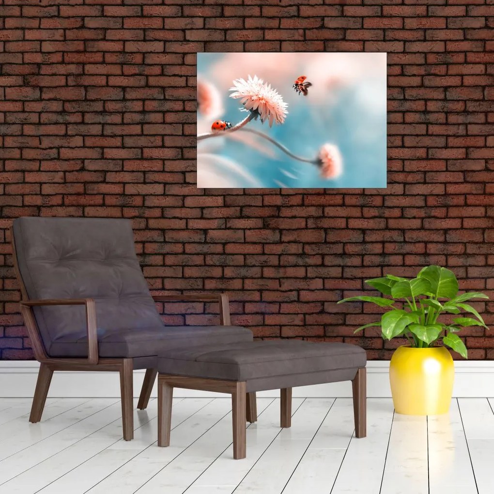 Tablou pe sticlă - Buburuze pe floare (70x50 cm)