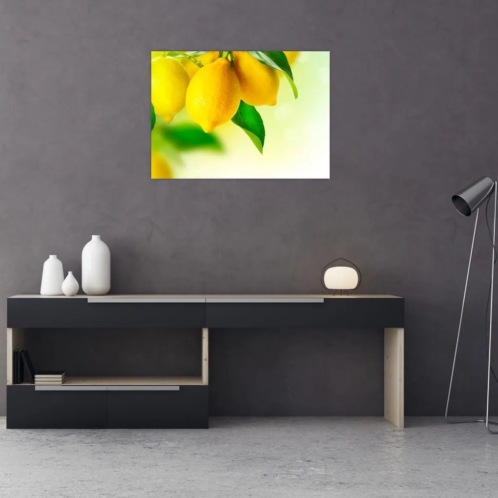 Tablou pe sticlă cu lămâi (70x50 cm)