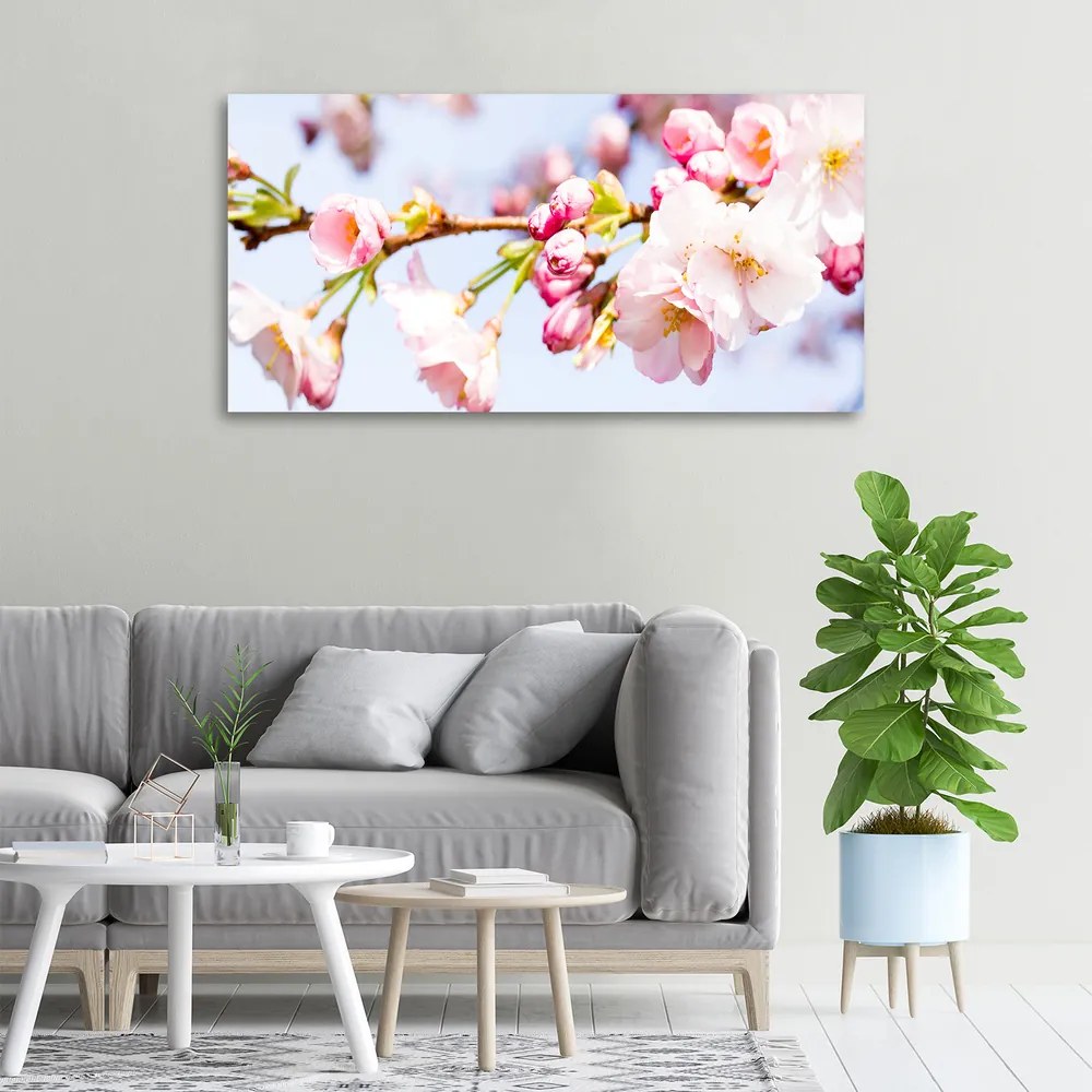 Tablou pe pânză canvas Flori de cireș