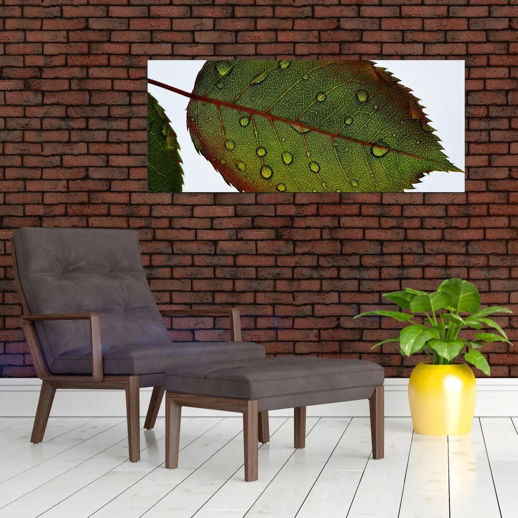 Tablou - Frunze de trandafir (120x50 cm)