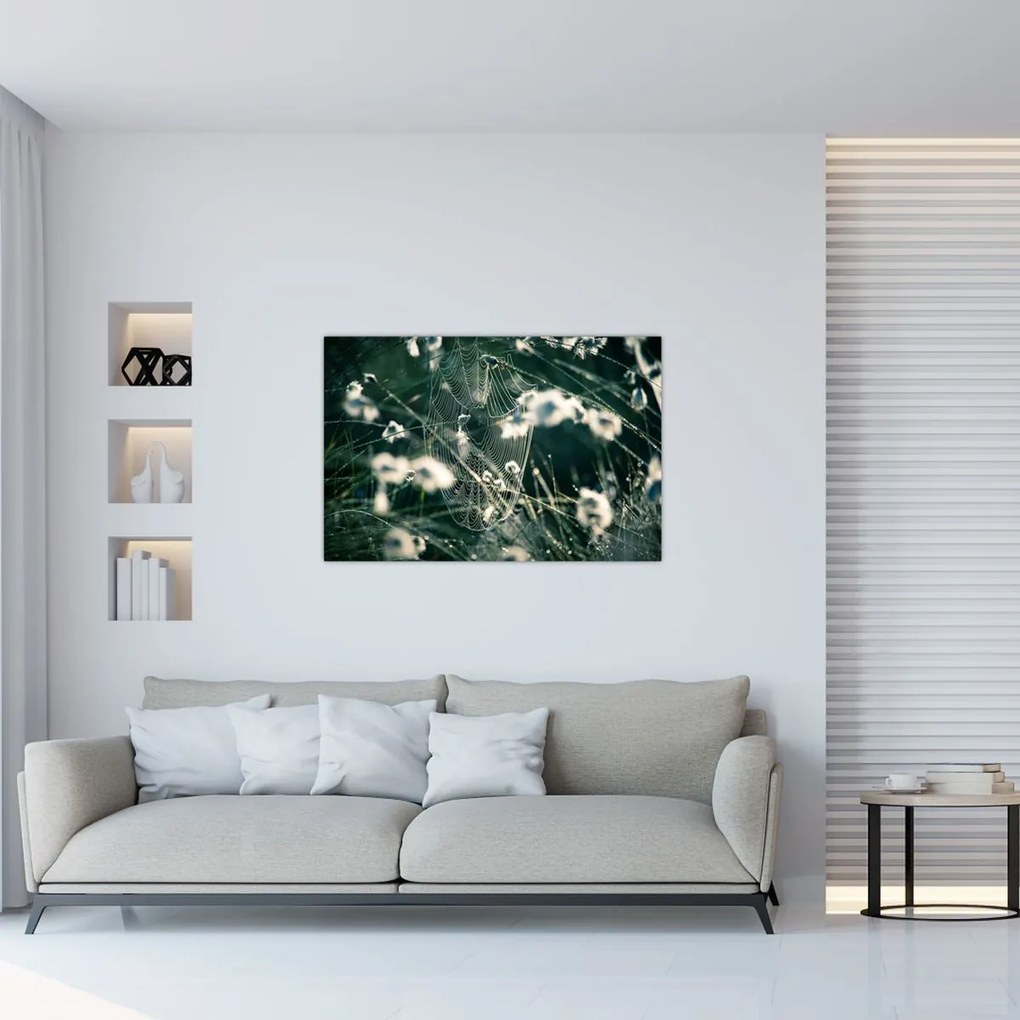 Tablou - Pânză de păianjen (90x60 cm)