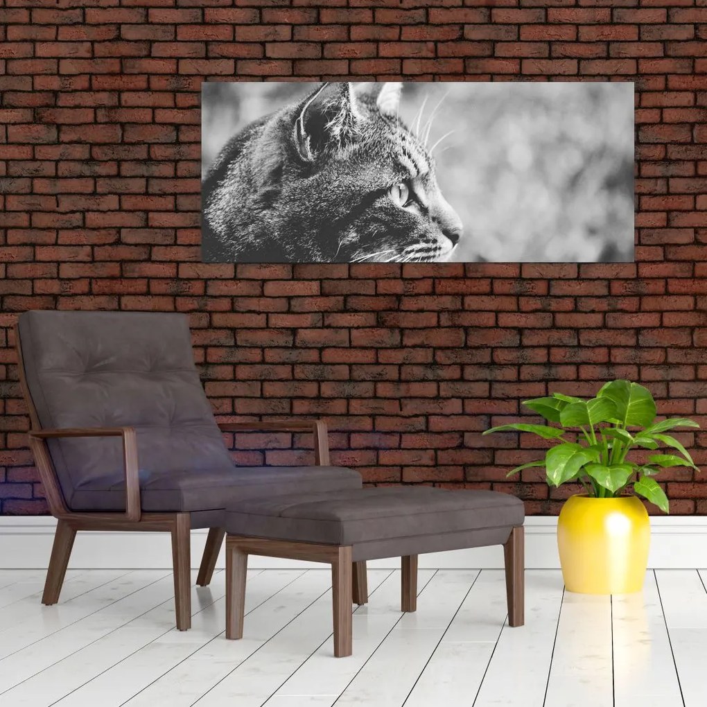 Tablou - Pisica (120x50 cm)