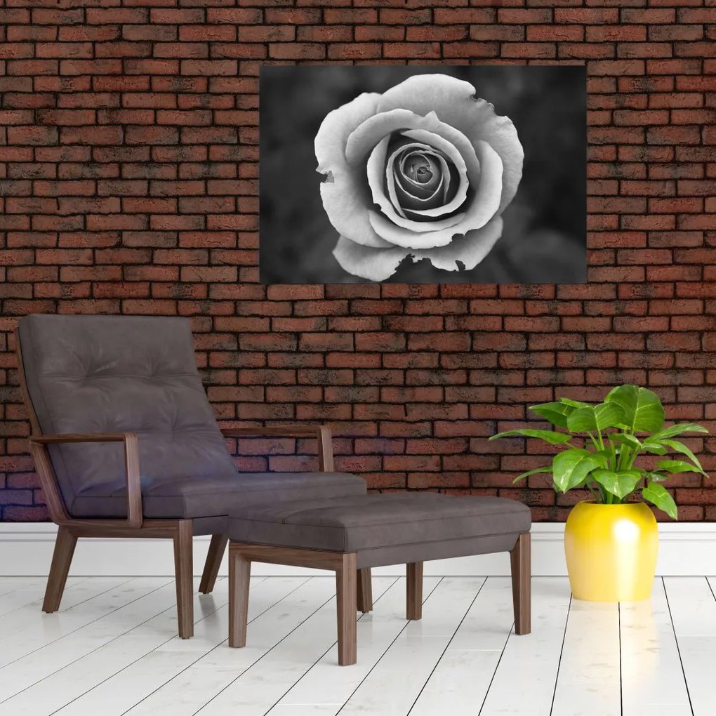 Tablou - Trandafir (90x60 cm)