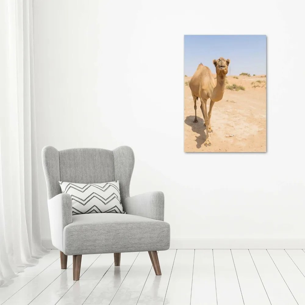 Fotografie imprimată pe sticlă Camel în deșert