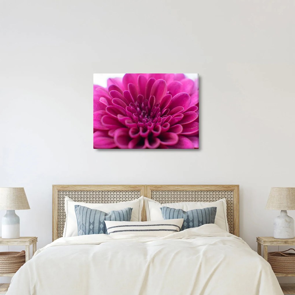 Tablou cu floare (70x50 cm)