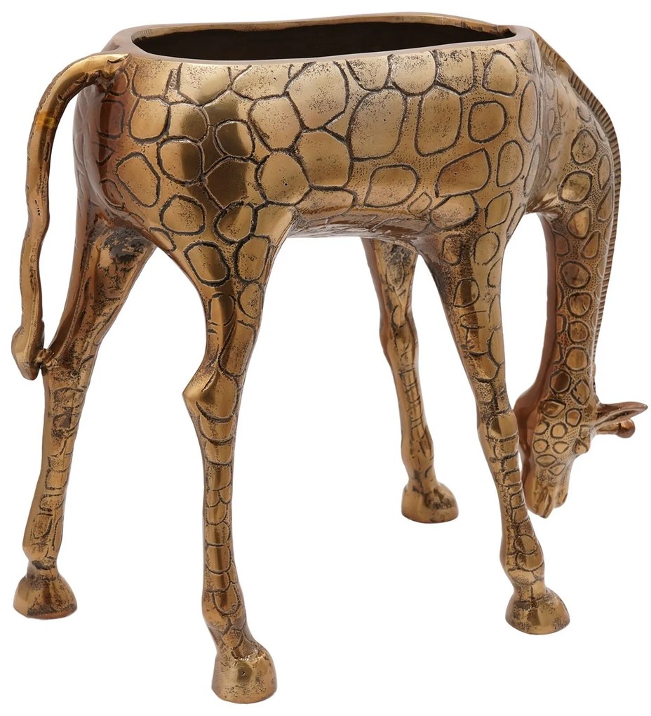 vidaXL Răcitor de gheață Alamă 49 x 22 x 39 cm Alamă