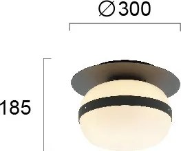 Plafonieră PALMA 1xE27/40W/230V neagră