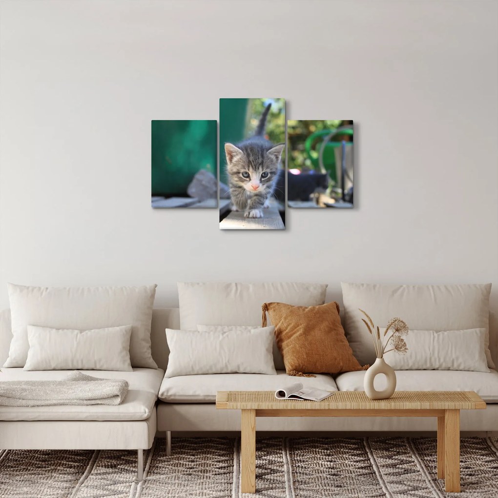 Tablou cu pisicuțe (90x60 cm)