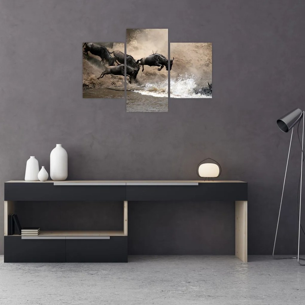 Tablou - Turmă de gnu (90x60 cm)