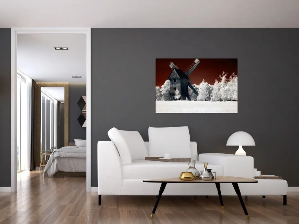 Tablou cu moară (90x60 cm)