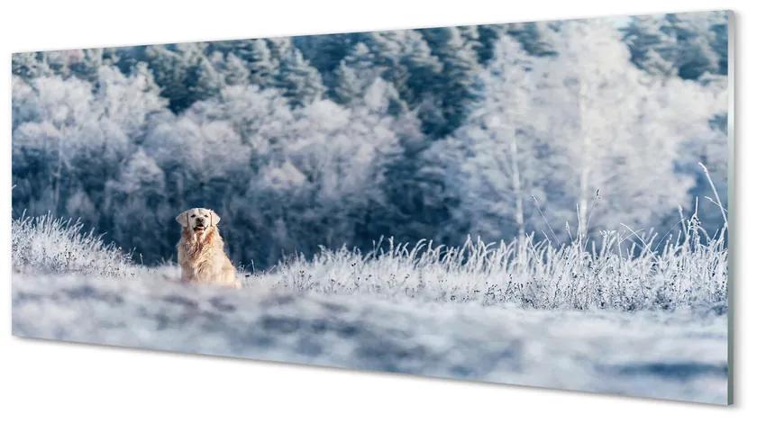 Panouri de sticlă Iarna câine de munte